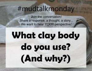 what clay body do you use?