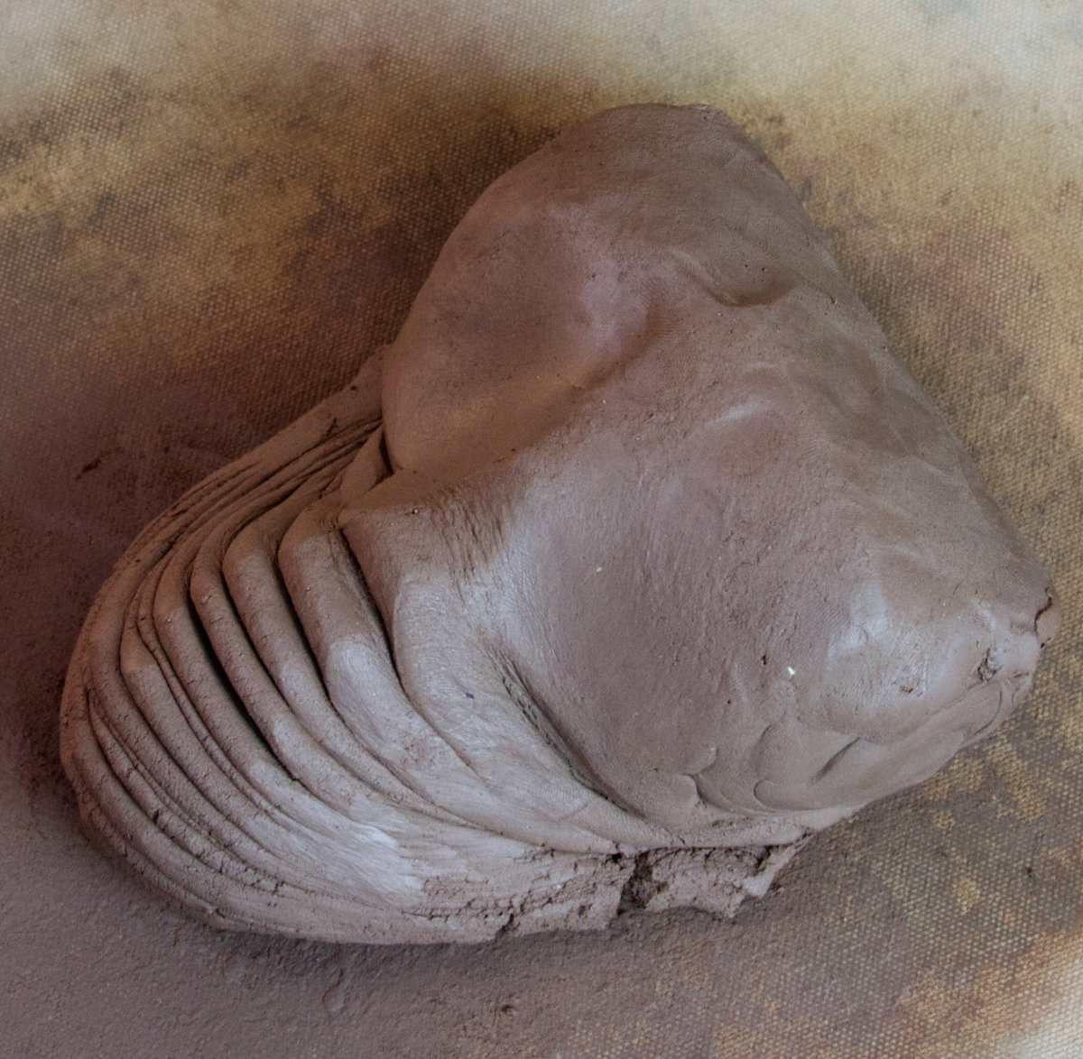 ram's head wedging result
